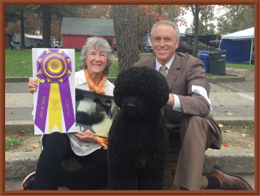 Julie, Bill McFadden and Manly -
  Best of Breed in
  2016 Northern California Specialty